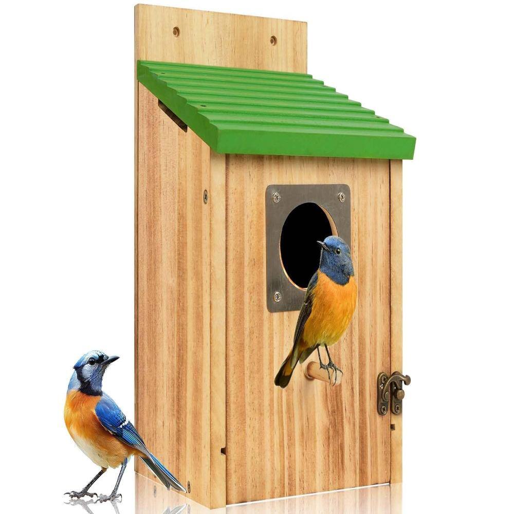 5.7 in. x 5.7 in. x 10.2 in. Bird House with Predator Guard Natural Wood 1 Piece price history on PriceWatchPro