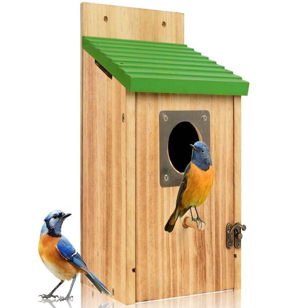 5.7 in. x 5.7 in. x 10.2 in. Bird House with Predator Guard Natural Wood 1 Piece