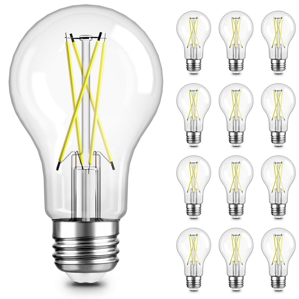 60-Watt Equivalent A19 Non-Dimmable Clear Glass Filament LED Light Bulb Daylight 5000K (12-Pack) price history on PriceWatchPro