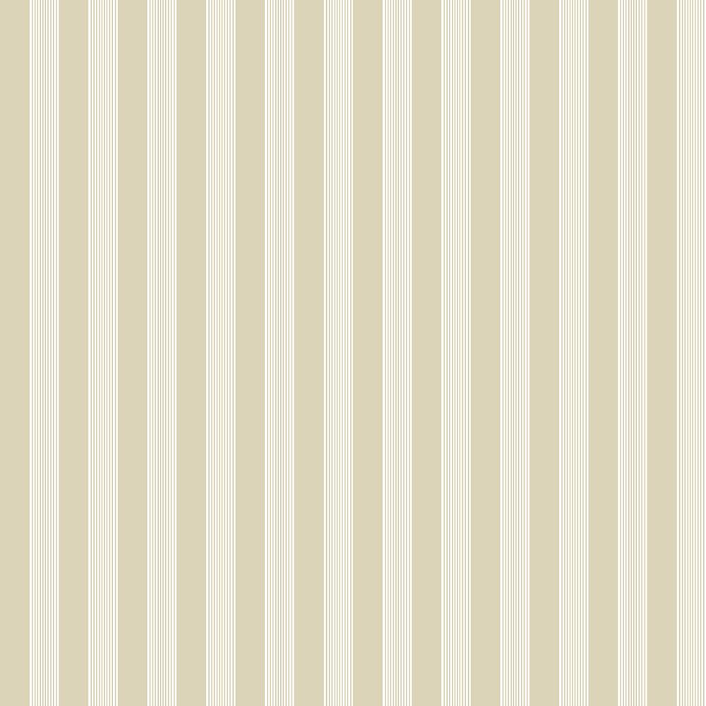 Little Explorers 2-Beige Vertical Ribbon Stripe Matte Finish Non-Pasted Non
