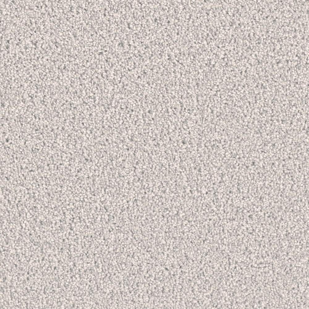 8 in. x  8 in. Texture Carpet Sample - Delicate Flower -Color Candytuft price history on PriceWatchPro
