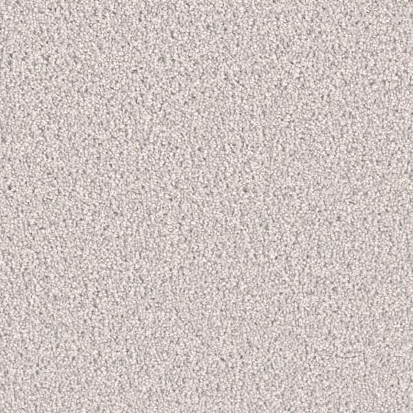 8 in. x  8 in. Texture Carpet Sample - Delicate Flower -Color Candytuft