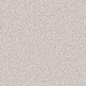 Delicate Flower  - Candytuft - Gray 40 oz. SD Polyester Texture Installed Carpet