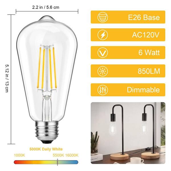 ZXXC Clear Glass Style 60-Watt Equivalent ST58 Dimmable