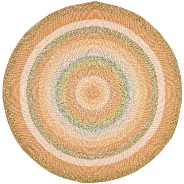 SAFAVIEH Braided Tan/Multi 6 ft. x 6 ft. Round Border Area Rug