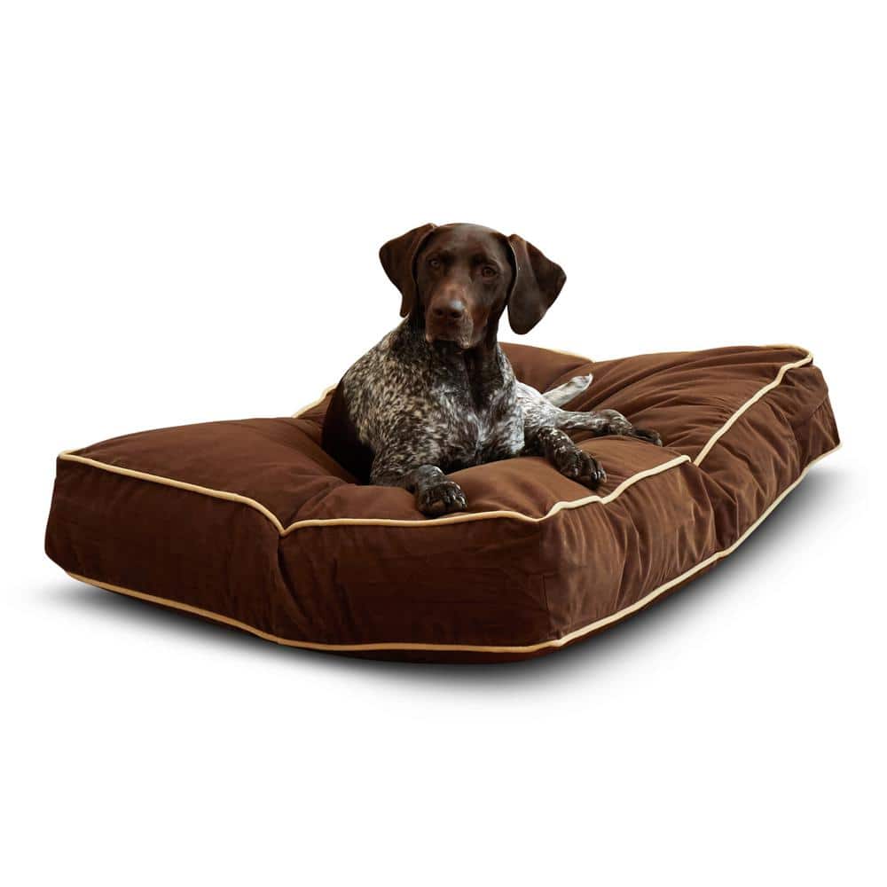 hound dog bed