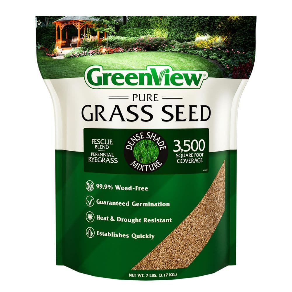CONCRETE GREEN 3 ／SEEDA DJ ISSO NORIKIYO greenview-grass-seed-2829343-