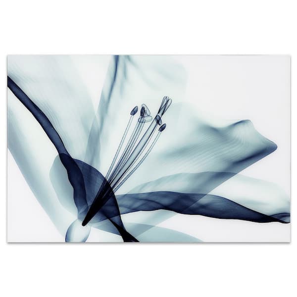 32 in. x 48 in. "Amaryllis" Frameless Free Floating Tempered Glass Panel Graphic Wall Art