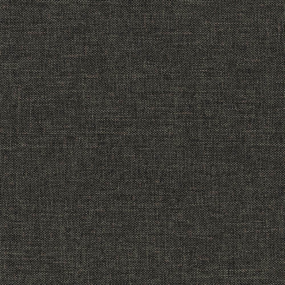 Twin Dark Gray Upholstered Wood Frame Daybed with Nailhead Trim