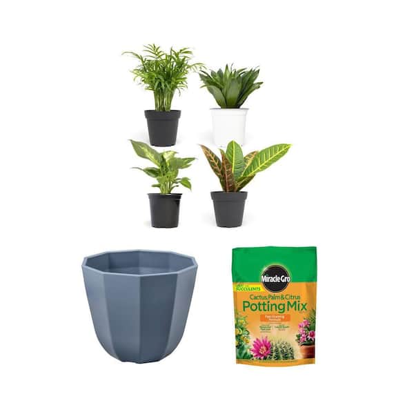 4.25 in. Foliage Asst (4-Pack), 16 in. Lucinda Blue Waltz Planter, and 8 qt. Cactus, Palm, Citrus Potting Mix