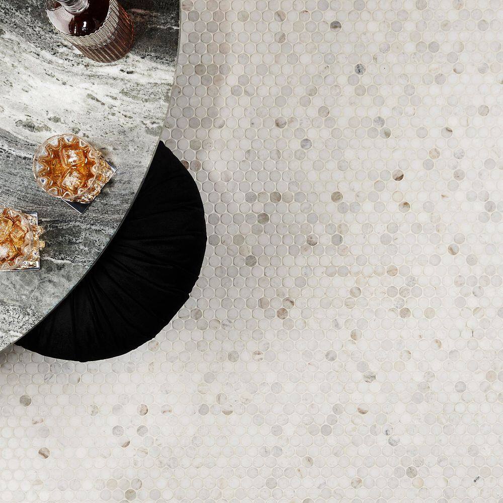 Polar White Penny Round Polished Marble Mosaic Tile