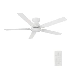 Byrness 52 in. Color Changing Integrated LED Indoor Matte White 10-Speed DC Ceiling Fan with Light Kit/Remote Control