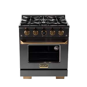 30 in. 4.2 cu. ft. 4-Burners Dual Fuel Range Natural Gas in Titanium Stainless Steel with Horus Digital Dial Thermostat