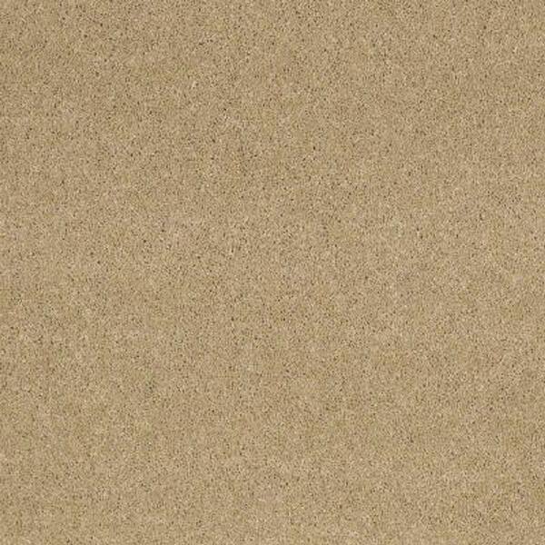 SoftSpring Carpet Sample - Tremendous I - Color Daybreak Texture 8 in. x 8 in.