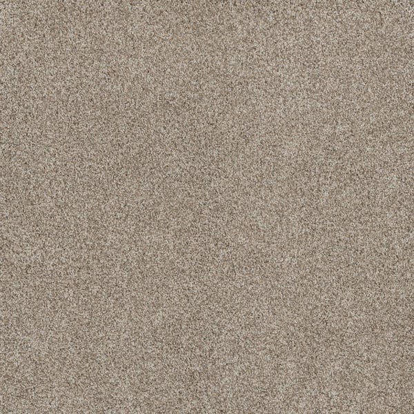 Home Decorators Collection Jack Bay II - Freedom - Beige 65 oz. SD Polyester Texture Installed Carpet