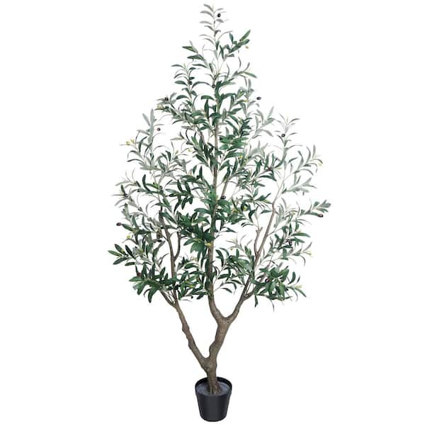 7-8 ft. Freshly Cut Full Live Abies Fraser Fir Christmas Tree
