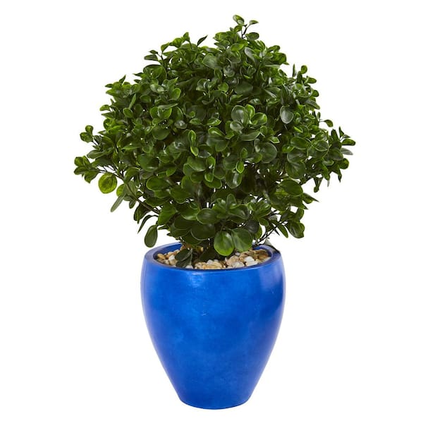 Nearly Natural Indoor/Outdoor 32 in. Peperomia Artificial Plant in Blue Planter UV Resistant