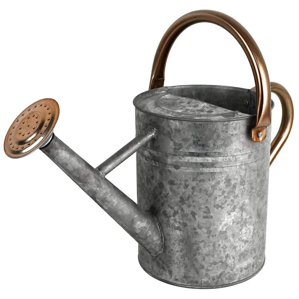 Dyiom 1 Gal. Silver Metal Watering Can with Removable Spout Rainwater