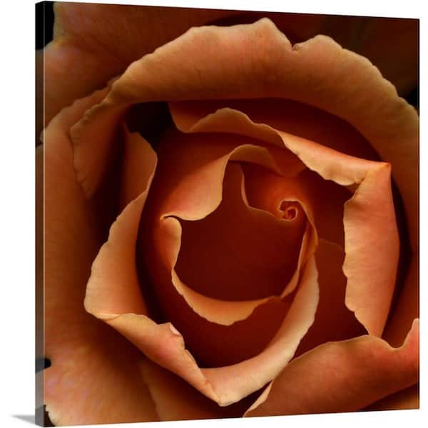 GreatBigCanvas "Just Joey II" by Magda Indigo Canvas Wall Art