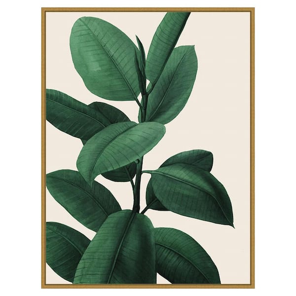 Jeweled Ficus I by Grace Popp 1 Piece Floater Frame Canvas Giclee Nature Art Print 42 in. x 32 in.