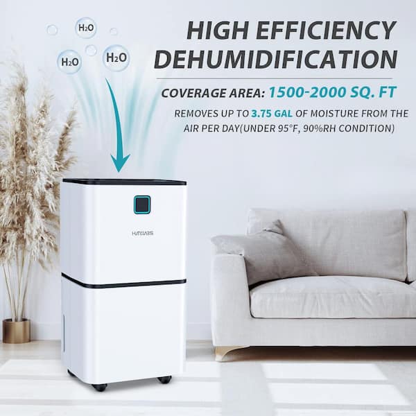 Edendirect 30 pt. 2,000 sq.ft. Dehumidifier in White for Room and 