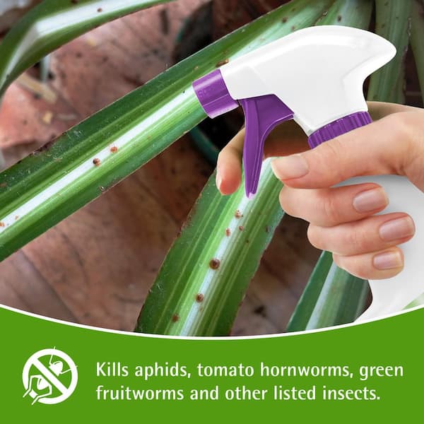 Garden Safe Multi-Purpose Garden Insect Killer, Ready-to-Use 24-fl oz