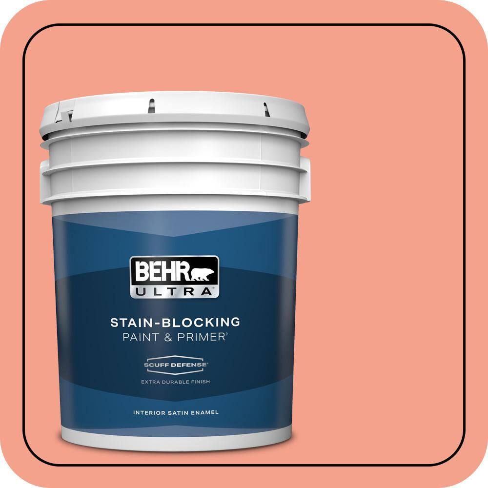 5 gal. Home Decorators Collection #HDC-MD-18 Peach Mimosa Extra Durable Satin Enamel Interior Paint & Primer price history on PriceWatchPro