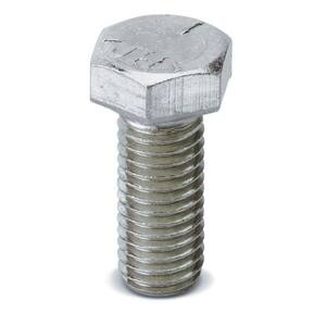 1/2 in. x 15/16 in. Strut Hex Head Bolt - Silver Galvanized (5-Pack)