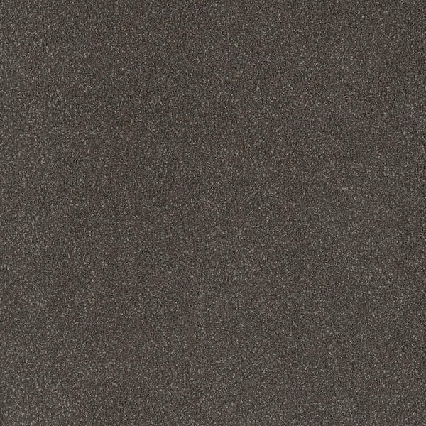 Home Decorators Collection First Class I - Patton - Gray 32 oz. SD Polyester Texture Installed Carpet