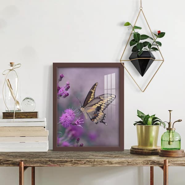 Modern 11 in. x 14 in. Brown Picture Frame (Set of 2)