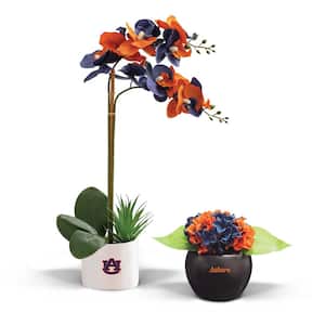 20 in. Auburn War Eagle Artificial Orchid Plant and Hydrangea - Fan-Favorite College University Gift Bundle (2-Pack)