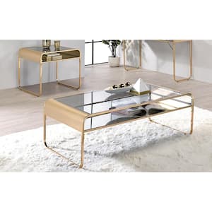 Mindry 48 in. Gold Plating Rectangle Glass Top 2-Piece Coffee Table Set
