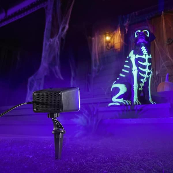 12-Watt Black Light LED Floodlight