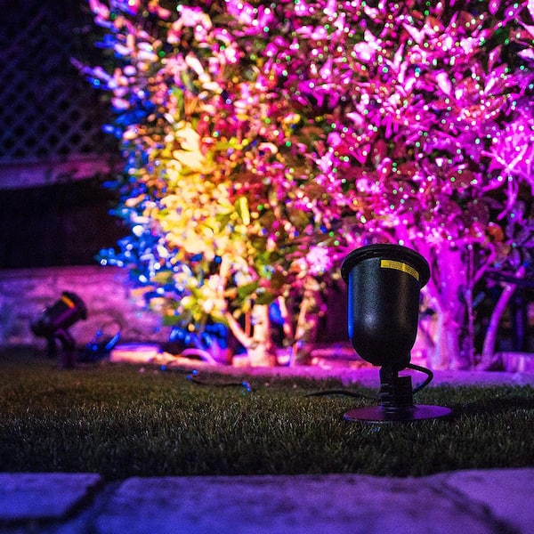 Why Are Color-Changing Lights So Popular? – BlissLights