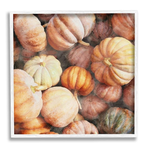 Stupell Industries Fall Pumpkins and Gourds by LSR Design Studio 1-Piece Framed Graphic Print Country Poster Art Print 12 in. x 12 in.