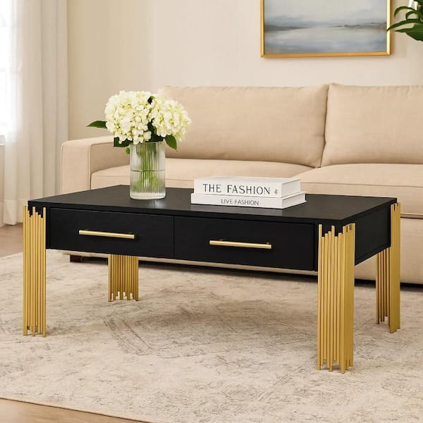 Theo 24.61 in. Black and Gold Rectangle Wood Coffee Table with Includes Storage Space