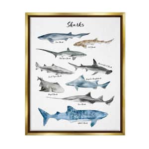 Nautical Shark Chart Watercolor Marine Animals by Ziwei Li Floater Frame Animal Wall Art Print 17 in. x 21 in.