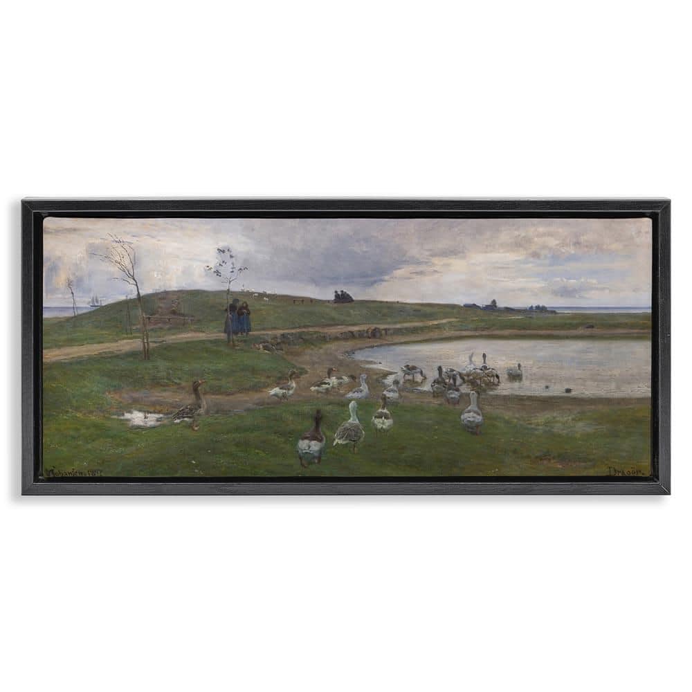 Ducks Wading in Pond by June Erica Vess Black Floater Frame Nature Graphic Art Print 14 in. x 31 in. price history on PriceWatchPro