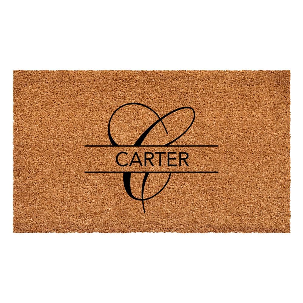 Carter Multi-Colored 24 in. x 48 in. Indoor or Outdoor Doormat price history on PriceWatchPro