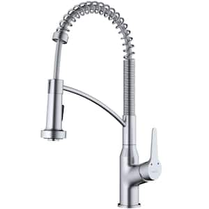 Scottsdale Single Handle Pull Down Sprayer Kitchen Faucet in Stainless Steel