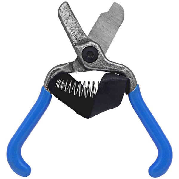 ZENPORT 5.5 in. L Forged Stainless Steel Lemon Citrus Clipper