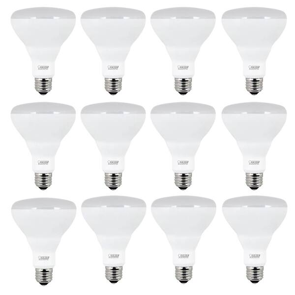 Feit Electric 65W Equivalent Soft White BR30 Dimmable LED Light Bulb Maintenance Pack (12-Pack)