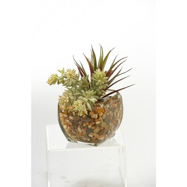 D&W Silks Artificial Indoor Yucca Succulent in Glass Cube