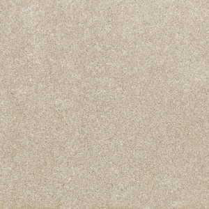 Denfort - Twine - Brown 70 oz. Triexta Texture Installed Carpet