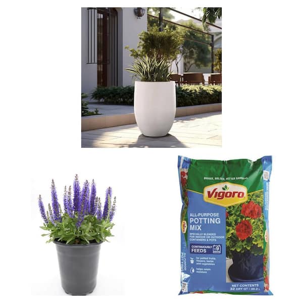 22"H Concrete Flower Pot, 2.5 Qt. Purple Salvia Plant and 32 qt. Potting Soil Mix Combo