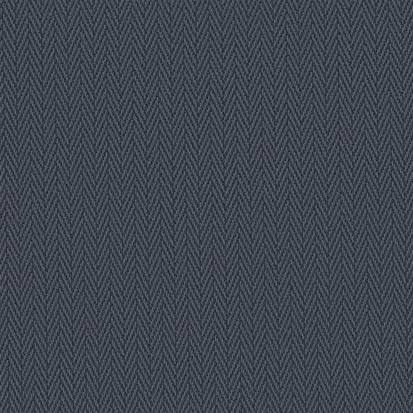 Lifeproof Camille Color Water Pool Blue - 34 oz. Nylon Pattern Installed Carpet