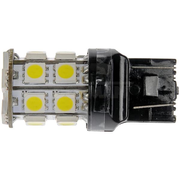 Tail Light Bulb