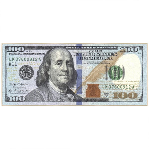 Riches 100 Dollar Bill Collection Non-Slip Rubberback Money 22x53 Money Rug, 22 in. x 53 in., Multicolor