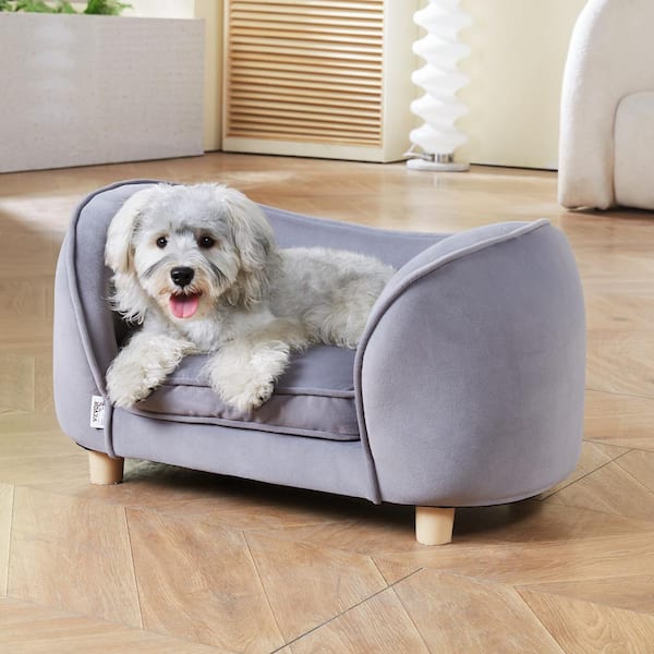 Cheap dog couches hotsell