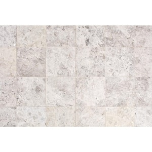 Arctic Gray 12 in. x 12 in. Natural Polished Stone Floor and Wall Tile (10 sq. ft. / case)